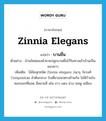 บานชื่น ภาษาอังกฤษ?, คำศัพท์ภาษาอังกฤษ บานชื่น แปลว่า Zinnia elegans ประเภท N ตัวอย่าง บ้านใหม่ของน้าชายปลูกบานชื่นไว้ริมทางเข้าบ้านเป็นแนวยาว เพิ่มเติม ไม้ล้มลุกชนิด Zinnia elegans Jacq. ในวงศ์ Compositae ลำต้นกลวง ใบเดี่ยวออกตรงข้ามกัน ไม่มีก้านใบ ดอกออกที่ยอด มีหลายสี เช่น ขาว แดง ม่วง ชมพู เหลือง หมวด N