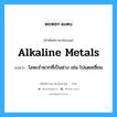 alkaline metals แปลว่า?, คำศัพท์ช่างภาษาอังกฤษ - ไทย alkaline metals คำศัพท์ภาษาอังกฤษ alkaline metals แปลว่า โลหะจำพวกที่เป็นด่าง เช่น โปแตสเซี่ยม