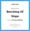 การทำลาดแบบขั้นบันได ภาษาอังกฤษ?, คำศัพท์ช่างภาษาอังกฤษ - ไทย การทำลาดแบบขั้นบันได คำศัพท์ภาษาอังกฤษ การทำลาดแบบขั้นบันได แปลว่า benching of slope