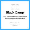 black damp แปลว่า?, คำศัพท์ช่างภาษาอังกฤษ - ไทย black damp คำศัพท์ภาษาอังกฤษ black damp แปลว่า (เคมี) เป็นคำที่ใช้เรียก carbon dioxide ซึ่งจะพบได้ในบรรยากาศตามเหมืองต่าง ๆ