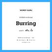 burring แปลว่า?, คำศัพท์ช่างภาษาอังกฤษ - ไทย burring คำศัพท์ภาษาอังกฤษ burring แปลว่า ครีบ, บั้ง