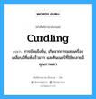 การข้นแข็งขึ้น, เกิดจากการผสมเครื่องเคลือบสีที่แห้งเร็วมาก และทินเนอร์ที่ใช้ละลายมีคุณภาพเลว ภาษาอังกฤษ?, คำศัพท์ช่างภาษาอังกฤษ - ไทย การข้นแข็งขึ้น, เกิดจากการผสมเครื่องเคลือบสีที่แห้งเร็วมาก และทินเนอร์ที่ใช้ละลายมีคุณภาพเลว คำศัพท์ภาษาอังกฤษ การข้นแข็งขึ้น, เกิดจากการผสมเครื่องเคลือบสีที่แห้งเร็วมาก และทินเนอร์ที่ใช้ละลายมีคุณภาพเลว แปลว่า curdling