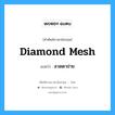 diamond mesh แปลว่า?, คำศัพท์ช่างภาษาอังกฤษ - ไทย diamond mesh คำศัพท์ภาษาอังกฤษ diamond mesh แปลว่า ลวดตาข่าย