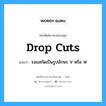 drop cuts แปลว่า?, คำศัพท์ช่างภาษาอังกฤษ - ไทย drop cuts คำศัพท์ภาษาอังกฤษ drop cuts แปลว่า รอยสกัดเป็นรูปอักษร V หรือ W