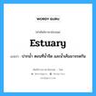 estuary แปลว่า?, คำศัพท์ช่างภาษาอังกฤษ - ไทย estuary คำศัพท์ภาษาอังกฤษ estuary แปลว่า ปากน้ำ ตอนที่น้ำจืด และน้ำเค็มมาจรดกัน