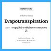 การสูญเสียน้ำจากดินโดยการระเหยและคายน้ำ ภาษาอังกฤษ?, คำศัพท์ช่างภาษาอังกฤษ - ไทย การสูญเสียน้ำจากดินโดยการระเหยและคายน้ำ คำศัพท์ภาษาอังกฤษ การสูญเสียน้ำจากดินโดยการระเหยและคายน้ำ แปลว่า evapotranspiration