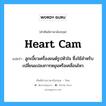 heart cam แปลว่า?, คำศัพท์ช่างภาษาอังกฤษ - ไทย heart cam คำศัพท์ภาษาอังกฤษ heart cam แปลว่า ลูกเบี้ยวเครื่องยนต์รูปหัวใจ ซึ่งใช้สำหรับเปลี่ยนแปลงการหมุนหรือเคลื่อนไหว