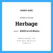 herbage แปลว่า?, คำศัพท์ช่างภาษาอังกฤษ - ไทย herbage คำศัพท์ภาษาอังกฤษ herbage แปลว่า ต้นไม้จำพวกลำต้นอ่อน