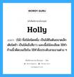 holly แปลว่า?, คำศัพท์ช่างภาษาอังกฤษ - ไทย holly คำศัพท์ภาษาอังกฤษ holly แปลว่า (ไม้) ชื่อไม้ชนิดหนึ่ง เป็นไม้ยืนต้นขนาดเล็ก เติยโตช้า เป็นไม้แข็งสีขาว และเนื้อไม้ละเอียด ใช้ทำก้านนิ้วดีดบนเปียโน ใช้ทำสิ่งประดับสวยงามต่าง ๆ