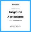 irrigation agriculture แปลว่า?, คำศัพท์ช่างภาษาอังกฤษ - ไทย irrigation agriculture คำศัพท์ภาษาอังกฤษ irrigation agriculture แปลว่า เกษตรชลประทาน