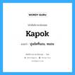 kapok แปลว่า?, คำศัพท์ช่างภาษาอังกฤษ - ไทย kapok คำศัพท์ภาษาอังกฤษ kapok แปลว่า นุ่นยัดที่นอน, หมอน