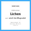 lichen แปลว่า?, คำศัพท์ช่างภาษาอังกฤษ - ไทย lichen คำศัพท์ภาษาอังกฤษ lichen แปลว่า ตะไคร่น้ำ เห็ดราที่ขึ้นอยู่ตามต้นไม้