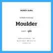 moulder แปลว่า?, คำศัพท์ช่างภาษาอังกฤษ - ไทย moulder คำศัพท์ภาษาอังกฤษ moulder แปลว่า ผุพัง