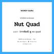 nut quad แปลว่า?, คำศัพท์ช่างภาษาอังกฤษ - ไทย nut quad คำศัพท์ภาษาอังกฤษ nut quad แปลว่า (การพิมพ์) ดู en quad