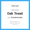 oak tread แปลว่า?, คำศัพท์ช่างภาษาอังกฤษ - ไทย oak tread คำศัพท์ภาษาอังกฤษ oak tread แปลว่า ขั้นบันไดที่ทำด้วยไม้โอ๊ค