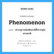 phenomenon แปลว่า?, คำศัพท์ช่างภาษาอังกฤษ - ไทย phenomenon คำศัพท์ภาษาอังกฤษ phenomenon แปลว่า ปรากฎการณ์มหัศจรรย์ที่ปรากฎในธรรมชาติ