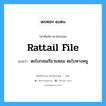 rattail file แปลว่า?, คำศัพท์ช่างภาษาอังกฤษ - ไทย rattail file คำศัพท์ภาษาอังกฤษ rattail file แปลว่า ตะไบกลมเรียวแหลม ตะไบหางหนู