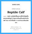 reptile calf แปลว่า?, คำศัพท์ช่างภาษาอังกฤษ - ไทย reptile calf คำศัพท์ภาษาอังกฤษ reptile calf แปลว่า (หนัง) หนังสัตว์เลื้อยคลานที่ทำเป็นหุ้มชั้นนอกของหนังลูกวัว โดยมากเป็นเครื่องหนังสำหรับสตรี เช่น กระเป๋าถือเล็ก ๆ กระเป๋าแบบใส่ธนบัตร ฯลฯ