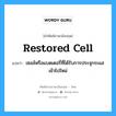 restored cell แปลว่า?, คำศัพท์ช่างภาษาอังกฤษ - ไทย restored cell คำศัพท์ภาษาอังกฤษ restored cell แปลว่า เซลล์หรือแบตเตอรี่ที่ได้รับการประจุกระแสเข้าไปใหม่