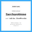 saccharobiose แปลว่า?, คำศัพท์ช่างภาษาอังกฤษ - ไทย saccharobiose คำศัพท์ภาษาอังกฤษ saccharobiose แปลว่า (เคมี) อ้อย ; น้ำตาลที่ทำจากอ้อย