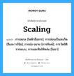 scaling แปลว่า?, คำศัพท์ช่างภาษาอังกฤษ - ไทย scaling คำศัพท์ภาษาอังกฤษ scaling แปลว่า การสเกล [ไฟฟ้าสื่อสาร]; การล่อนเป็นสะเก็ด [สีและวาร์นิช]; การย่อ-ขยาย [การพิมพ์]; การวัดมิติจากแบบ, การแซะหินให้หล่น [โยธา]