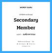 secondary member แปลว่า?, คำศัพท์ช่างภาษาอังกฤษ - ไทย secondary member คำศัพท์ภาษาอังกฤษ secondary member แปลว่า องค์อาคารรอง