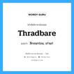 thradbare แปลว่า?, คำศัพท์ช่างภาษาอังกฤษ - ไทย thradbare คำศัพท์ภาษาอังกฤษ thradbare แปลว่า สึกจนกร่อน, เก่าแก่