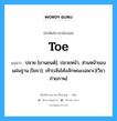 toe แปลว่า?, คำศัพท์ช่างภาษาอังกฤษ - ไทย toe คำศัพท์ภาษาอังกฤษ toe แปลว่า ปลาย [ยานยนต์]; ปลายหน้า, ส่วนหน้าของแผ่นฐาน [โยธา]; เท้า(เส้นโค้งลักษณะเฉพาะ)[วิชาถ่ายภาพ]