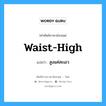 waist-high แปลว่า?, คำศัพท์ช่างภาษาอังกฤษ - ไทย waist-high คำศัพท์ภาษาอังกฤษ waist-high แปลว่า สูงแค่สะเอว