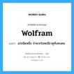 wolfram แปลว่า?, คำศัพท์ช่างภาษาอังกฤษ - ไทย wolfram คำศัพท์ภาษาอังกฤษ wolfram แปลว่า แร่ชนิดหนึ่ง จำพวกโลหะมีธาตุทังสะเตน