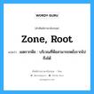 zone, root แปลว่า?, คำศัพท์ช่างภาษาอังกฤษ - ไทย zone, root คำศัพท์ภาษาอังกฤษ zone, root แปลว่า เขตรากพืช : บริเวณที่พืชสามารถหยั่งรากไปถึงได้