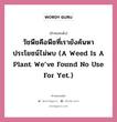 วัชพืชคือพืชที่เรายังค้นหาประโยชน์ไม่พบ (A weed is a plant we’ve found no use for yet.), คำคมคนดัง วัชพืชคือพืชที่เรายังค้นหาประโยชน์ไม่พบ (A weed is a plant we’ve found no use for yet.) หมวด ราล์ฟ วัลโด อีเมอร์สัน หมวด ราล์ฟ วัลโด อีเมอร์สัน