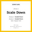 กริยา 3 ช่อง ของ Scale Down คืออะไร? มาดูคำอ่าน คำแปลกันเลย, กริยาช่อง 1 Scale Down กริยาช่อง 2 Scaled Down กริยาช่อง 3 Scaled Down หมวด Regular Verb หมวด Regular Verb