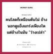 คนโสดก็เหมือนต้นไผ่ ข้างนอกดูแข็งแกร่งเพียงใด แต่ข้างในมัน &#34;ว่างเปล่า&#34;, คำคมความรัก คนโสดก็เหมือนต้นไผ่ ข้างนอกดูแข็งแกร่งเพียงใด แต่ข้างในมัน &#34;ว่างเปล่า&#34;