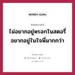 ไม่อยากอยู่หรอกในสตอรี่ อยากอยู่ในใจพี่มากกว่า, คำคมความรัก ไม่อยากอยู่หรอกในสตอรี่ อยากอยู่ในใจพี่มากกว่า แคปชันเรียกยอดไลก์ หมวด แคปชันเรียกยอดไลก์