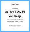 As you sow, so you reap. แปลว่า?, สำนวนสุภาษิต ภาษาอังกฤษ As you sow, so you reap. แปลว่า คุณย่อมเก็บเกี่ยวในสิ่งที่คุณหว่าน สำนวนสุภาษิตไทย ทำดีได้ดี ทำชั่วได้ชั่ว