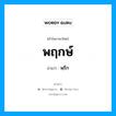 พฤกษ์ อ่านว่า?, คำในภาษาไทย พฤกษ์ อ่านว่า พฺรึก