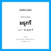 มธุกรี อ่านว่า?, คำในภาษาไทย มธุกรี อ่านว่า มะ-ทุ-กะ-รี