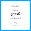 ลูกทรพี อ่านว่า?, คำในภาษาไทย ลูกทรพี อ่านว่า ลูก-ทอ-ระ-พี