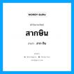 สากษิน อ่านว่า?, คำในภาษาไทย สากษิน อ่านว่า สาก-สิน