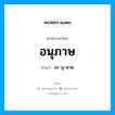 อนุภาษ อ่านว่า?, คำในภาษาไทย อนุภาษ อ่านว่า อะ-นุ-พาด