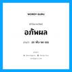 อะ-พับ-พะ-ผน เป็นคำอ่านของคำไหน?, คำในภาษาไทย อะ-พับ-พะ-ผน อ่านว่า อภัพผล