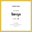 จิตรจุล หมายถึงอะไร?, คำราชาศัพท์ จิตรจุล หมายถึง เต่า หมวดหมู่ คำสุภาพ หมวด คำสุภาพ