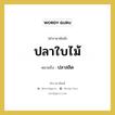 ปลาใบไม้ หมายถึง? คำราชาศัพท์ในกลุ่ม อาหาร, หมายถึง ปลาสลิด หมวดหมู่ อาหาร หมวด อาหาร