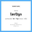 คำสมาส: ไตรปิฎก แยกคําสมาส, แปลว่า?, แยกคําสมาสเป็น ไตร + ปิฎก