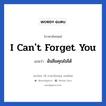 I can&#39;t forget you แปลว่า?, วลีภาษาอังกฤษ I can&#39;t forget you แปลว่า ฉันลืมคุณไม่ได้ หมวด ความรัก