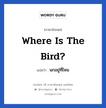 Where is the bird? แปลว่า?, วลีภาษาอังกฤษ Where is the bird? แปลว่า นกอยู่ที่ไหน