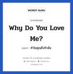 Why do you love me? แปลว่า?, วลีภาษาอังกฤษ Why do you love me? แปลว่า ทำไมคุณถึงรักฉัน