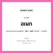 คำสนธิ: อเนก แยกคำสมาสแบบสนธิ, แปลว่า?, แยกคำสมาสแบบสนธิเป็น อน + เอก