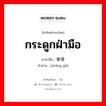 กระดูกฝ่ามือ ภาษาจีนคืออะไร, คำศัพท์ภาษาไทย - จีน กระดูกฝ่ามือ ภาษาจีน 掌骨 คำอ่าน [zhǎng gǔ]